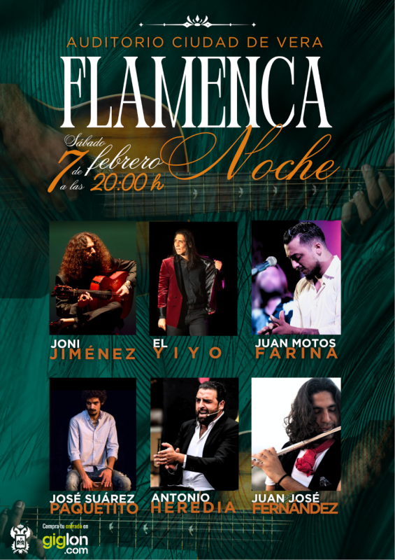NOCHE FLAMENCA: Yiyo, Joni Jimenez, Farina, Juan Jose Fernandez,...